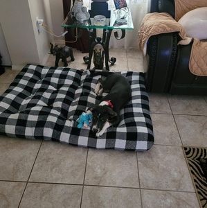 Meet your Posher, Ana